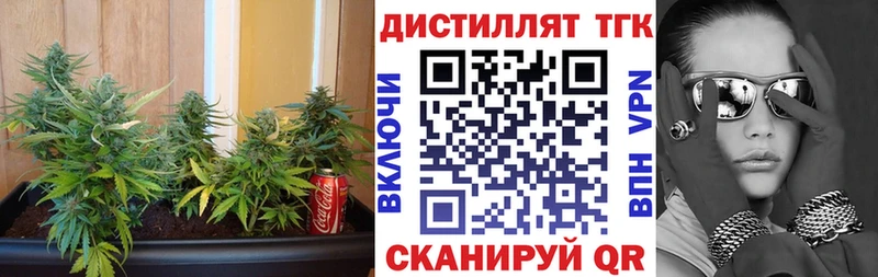 Купить закладки  Пролетарск  ТГК THC oil 